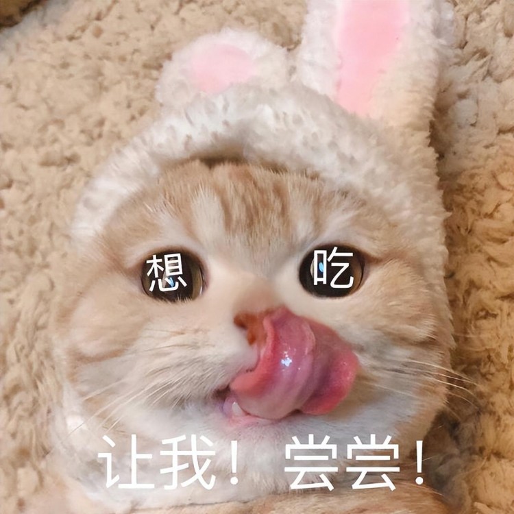 养猫一年才知道猫咪总是轻咬我其实有事情要说